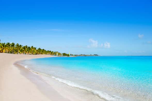 Excursion privée depuis Miami