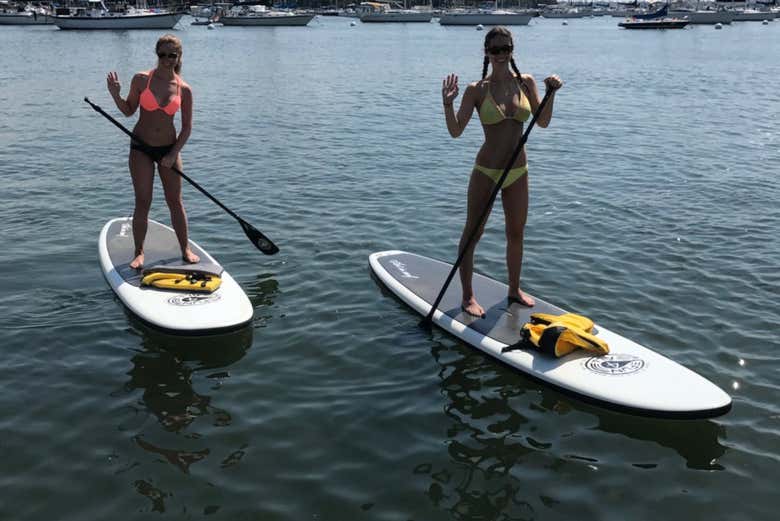 Paddle surf à Miami