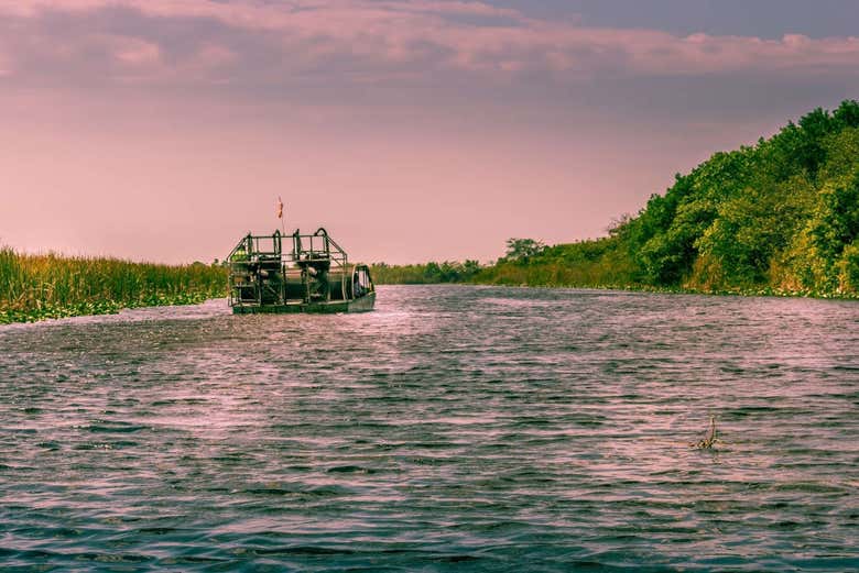 Un aéroglisseur dans les Everglades