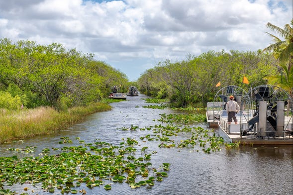 Balade en aéroglisseur dans les Everglades